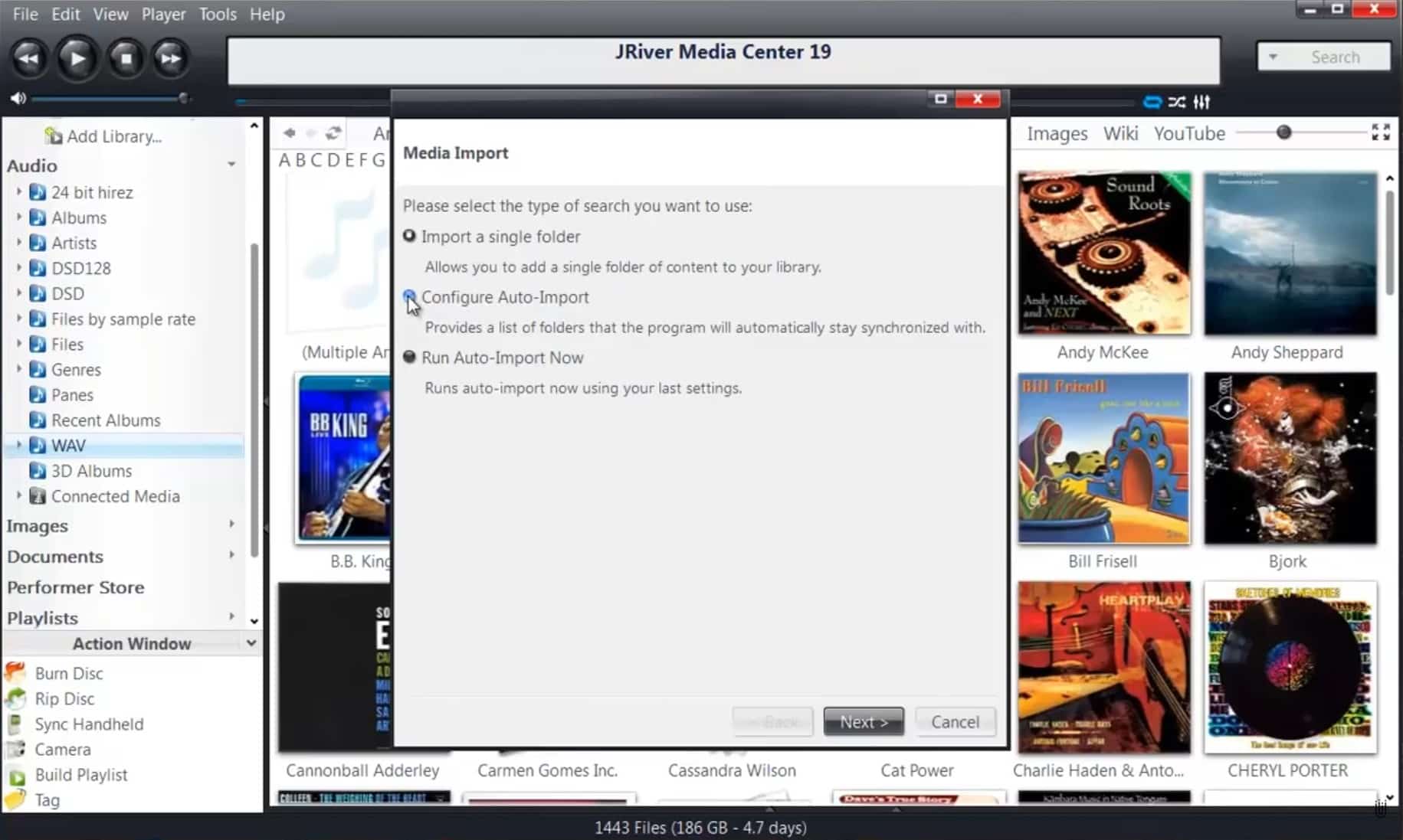 JRiver Media Center media import window, where the user can add and organize music files in the library