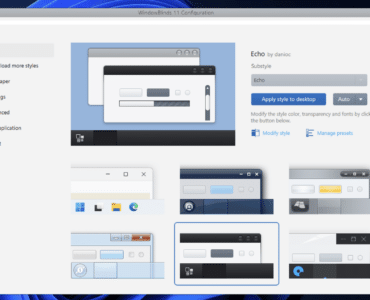 WindowBlinds 11-konfiguration på Windows 11, hvor brugeren vælger og forhåndsviser forskellige skins og visuelle temaer til skrivebordet.