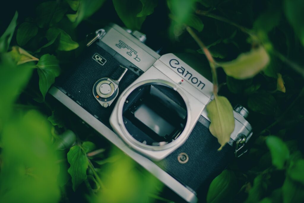 Vintage Canon-kamera uten objektiv ligger blant grønne blader i nærbilde.