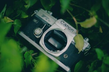 Vintage Canon-kamera uden objektiv ligger blandt grønne blade i nærbillede.