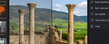 Ashampoo Photo Optimizer åbent på Windows 11 – programmet viser et før- og efterbillede af et naturfoto med forbedret lys, kontrast og farver. Dansk brugerflade med menupunkter som “Fjern røde øjne” og “Automatisk optimering”