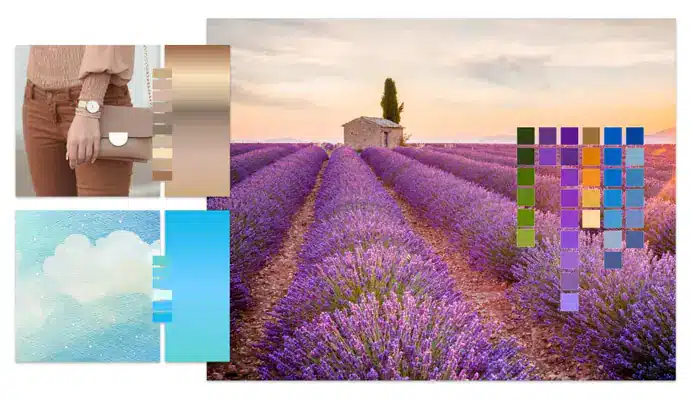 Kreative Bildbearbeitung in PaintShop Pro mit Farbpaletten, Pinseln und Fotokomposition