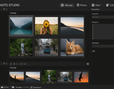 Skærmbillede af ACDSee Photo Studio med mørk brugerflade, der viser billedgalleri, filstruktur og billedredigering med metadata og preview-panel.