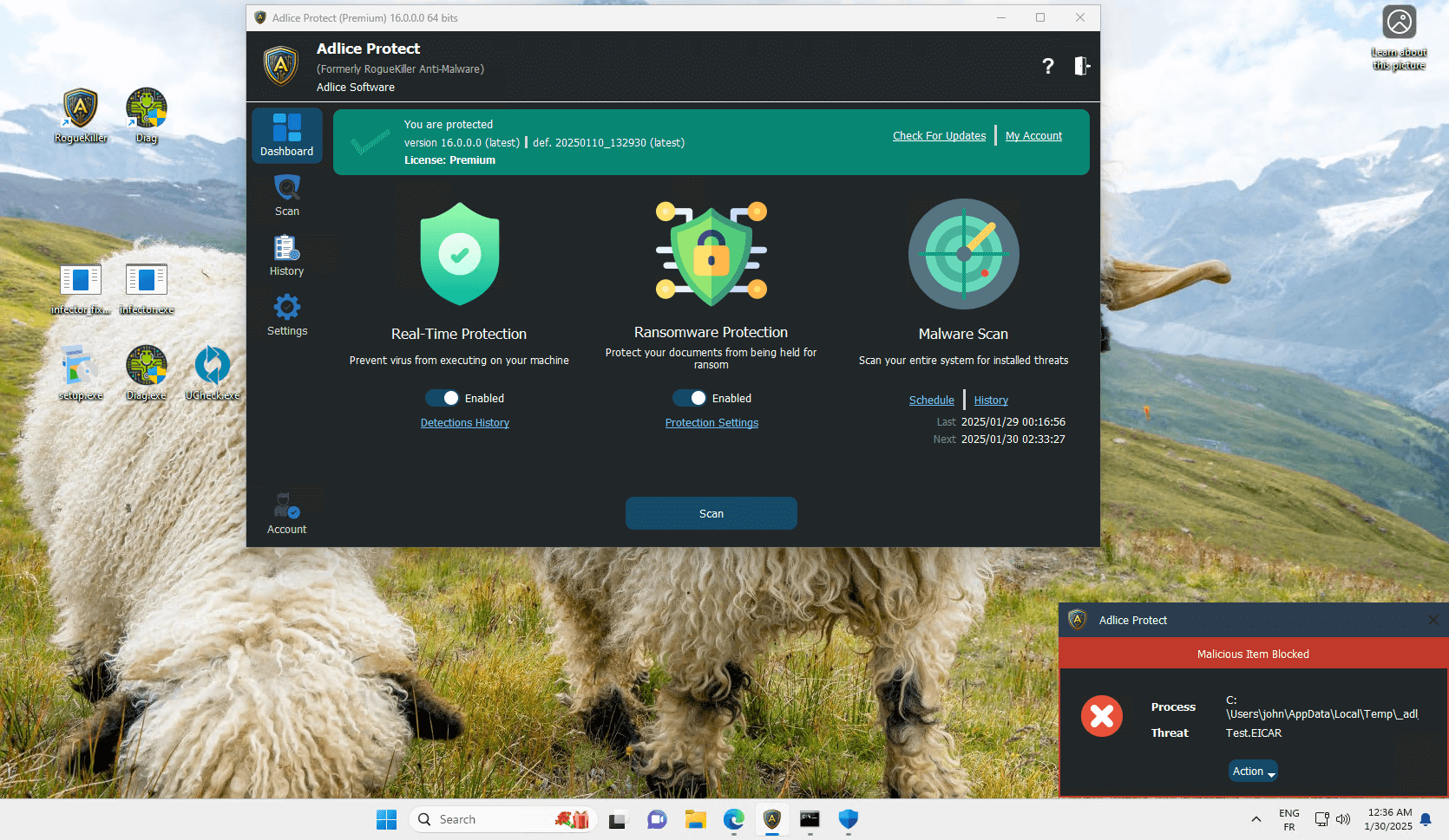 RogueKiller anti-malware på Windows som viser skanning etter malware, spyware og PUP-er
