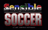 rank_math_title: Sensible Soccer European Champions - Klassisk fotballspill