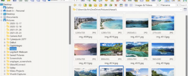 FastStone Image Viewer 7.8 med moderne miniaturevisning, mappepanel og hurtig browsing af feriebilleder i Windows.