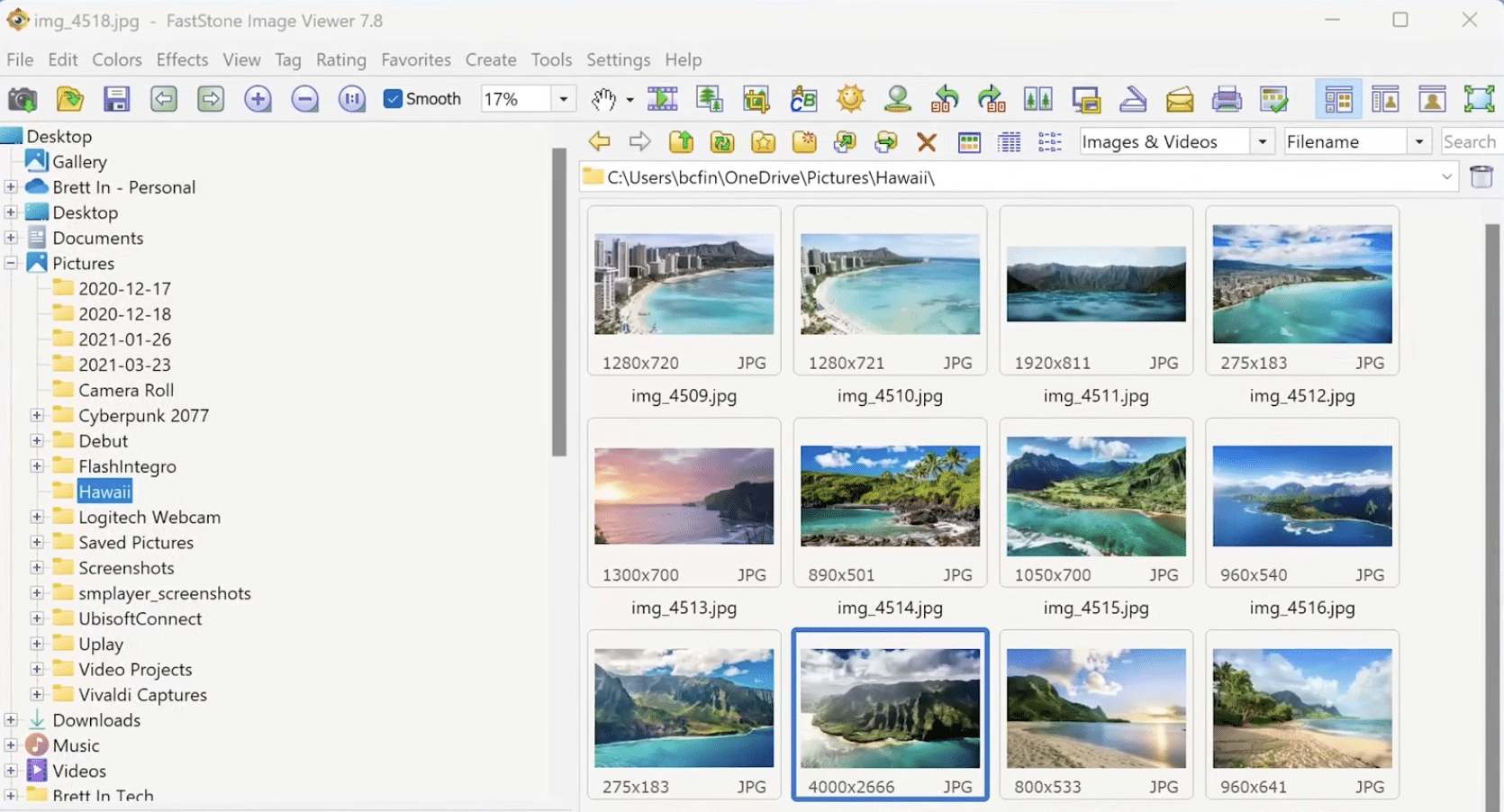 FastStone Image Viewer 7.8 med moderne miniatyrvisning, mappepanel og rask browsing av feriebilder i Windows.