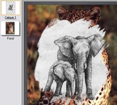 Her leges der med transparans og lag i Photofiltre.