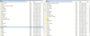 Total Commander åbent på Windows med klassisk to-panel visning, hvor mapper og systemfiler vises side om side i programmets filhåndteringsinterface.