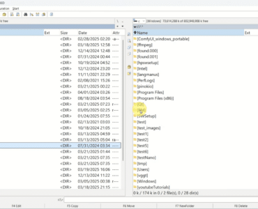 Total Commander åbent på Windows med klassisk to-panel visning, hvor mapper og systemfiler vises side om side i programmets filhåndteringsinterface.