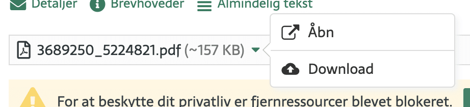 When you click the attachment in Jubii Mail, you can choose to download it or open it right away.