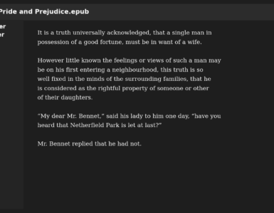 Screenshot af Foliate på Ubuntu i mørk tilstand, hvor e-bogen Pride and Prejudice er åbnet, og sidepanelet med indstillinger, bogmærker og noter er synligt.