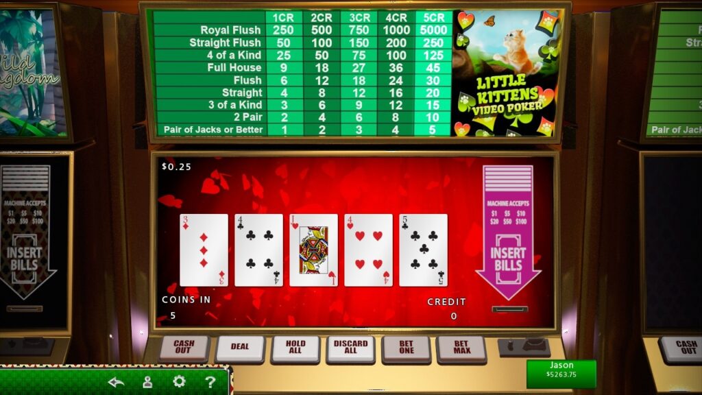 Videopoker i Hoyle Casino Games